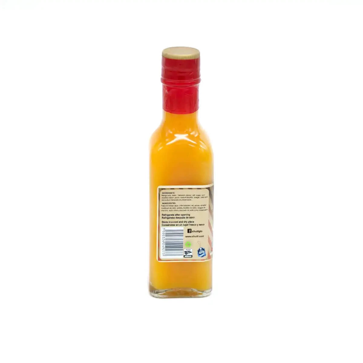 
                  
                    Gourmet Fruity Mango Sauce
                  
                